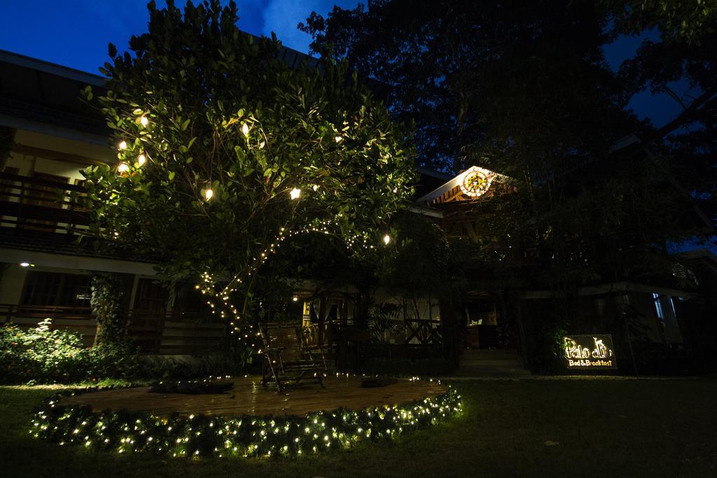 Palo Alto Bed & Breakfast Puerto Princesa Buitenkant foto